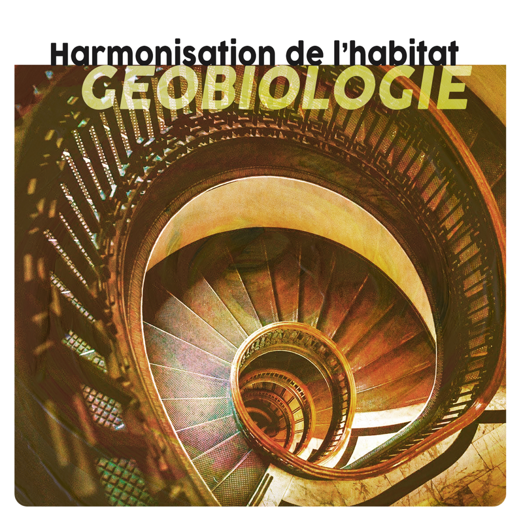 Harmonisation de l'habitat - Géobiologie