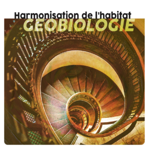 Harmonisation de l'habitat - Géobiologie